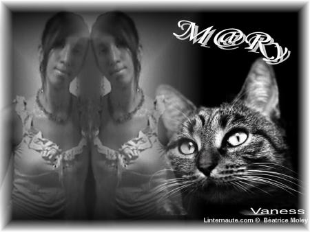 *******mry********
